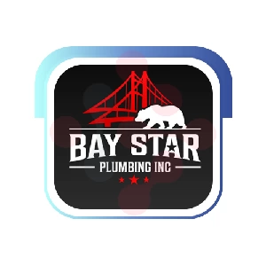Bay Star Plumbing Inc: Expert Chimney Cleaning in Tatum