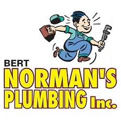Bert Norman's Plumbing, Inc.: Pool Cleaning Services in Oakwood