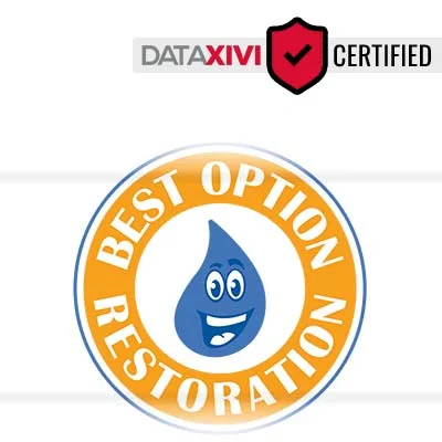 Best Option Restoration - Thornton: High-Efficiency Toilet Installation Services in Wilkinson
