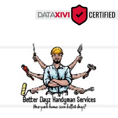 Better Dayz Handyman Services Plumber - DataXiVi