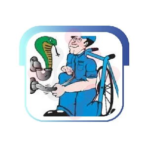 Big Mikes Rooter And Plumbing Inc.: Expert Handyman Services in Earp