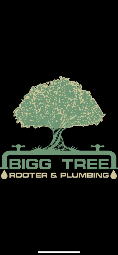 Bigg Tree Rooter & Plumbing - DataXiVi