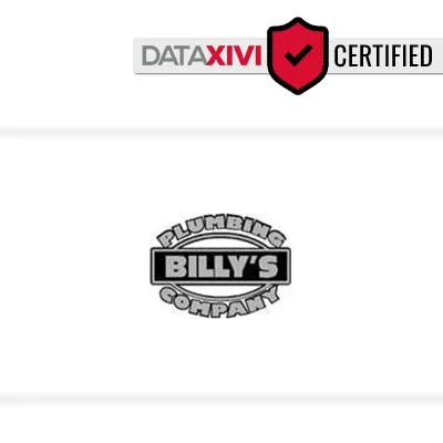 Billy's Plumbing Company - DataXiVi
