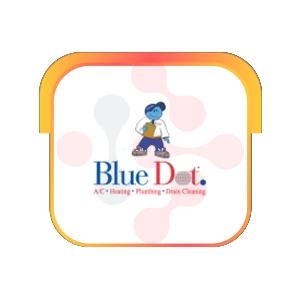 Blue Dot: Expert Bathroom Drain Cleaning in Enoree