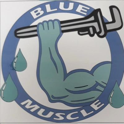 Blue Muscle Plumbing And Rooter Service: Pool Cleaning Services in Edna