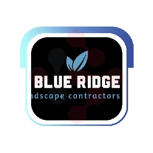Blue Ridge Landscape Contractors LLC: Expert Sprinkler Repairs in Chitina