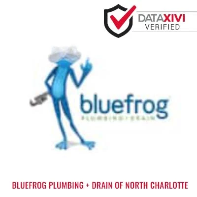 Bluefrog Plumbing + Drain of North Charlotte: Sink Replacement in Malden