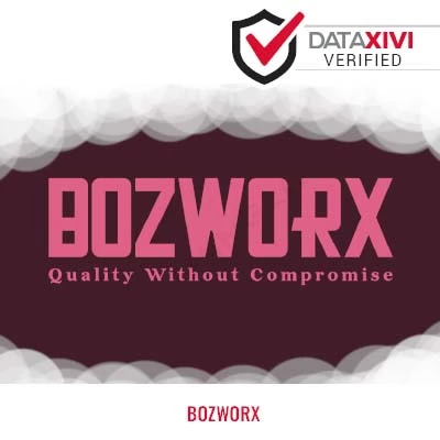 BozWorX: Fireplace Maintenance and Repair in Benton