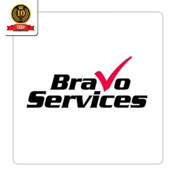 Bravo Services LLC: Toilet Troubleshooting Services in Elmo