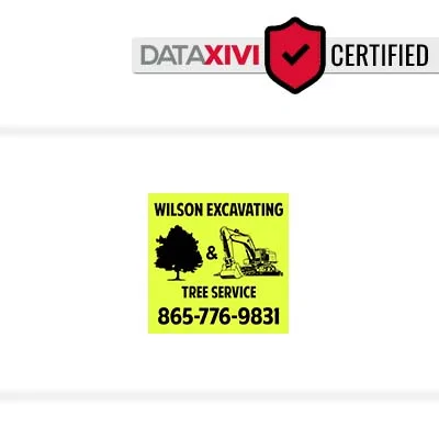 Buddy Wilson Contracting - DataXiVi