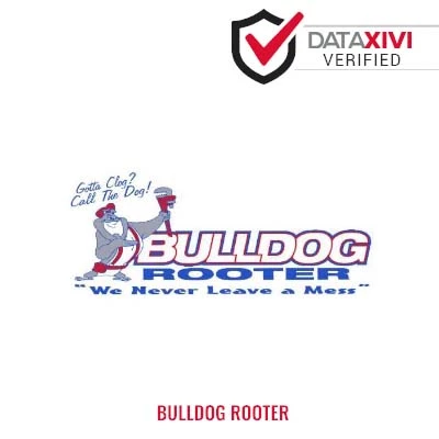 Bulldog Rooter: Efficient Appliance Troubleshooting in Martin