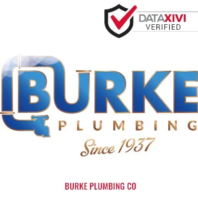 BURKE PLUMBING CO: Shower Valve Replacement Specialists in New Munich
