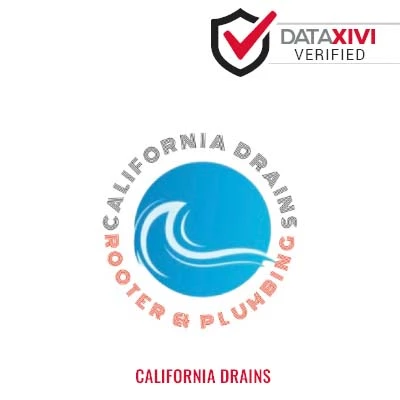 California Drains: Efficient High-Efficiency Toilet Setup in Gove