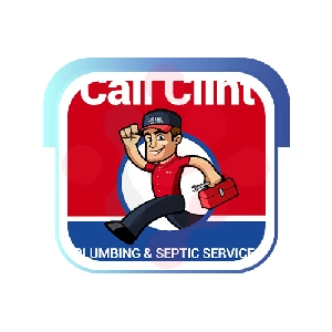 Call Clint Plumbing And Septic Services: Swift HVAC System Fixing in Spring Grove