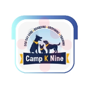 Camp K Nine: Expert Faucet Repairs in Holyrood