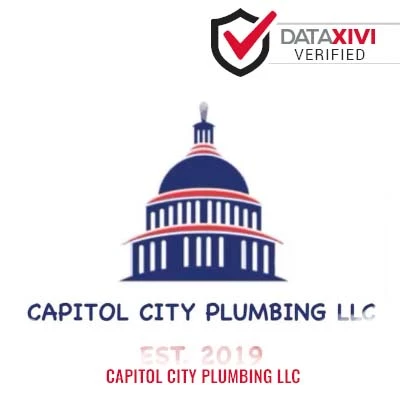 Capitol City Plumbing LLC: Leak Maintenance and Repair in Grayville