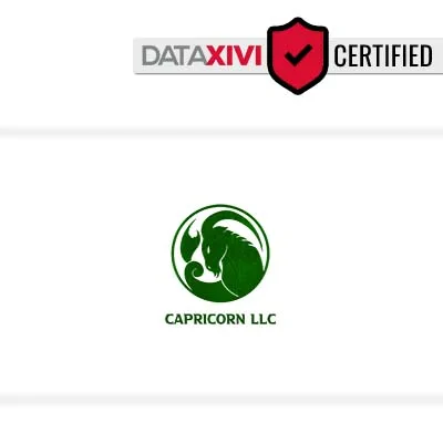 Capricorn LLC - DataXiVi