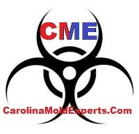 Carolina Mold Experts: Replacing and Installing Shower Valves in Allenton