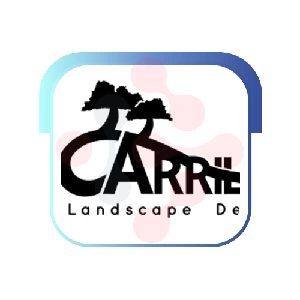 Carrillo Landscape Design: Expert Window Repairs in Jackson