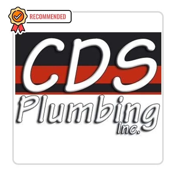 CDS Plumbing Inc: Toilet Fixing Solutions in Racine