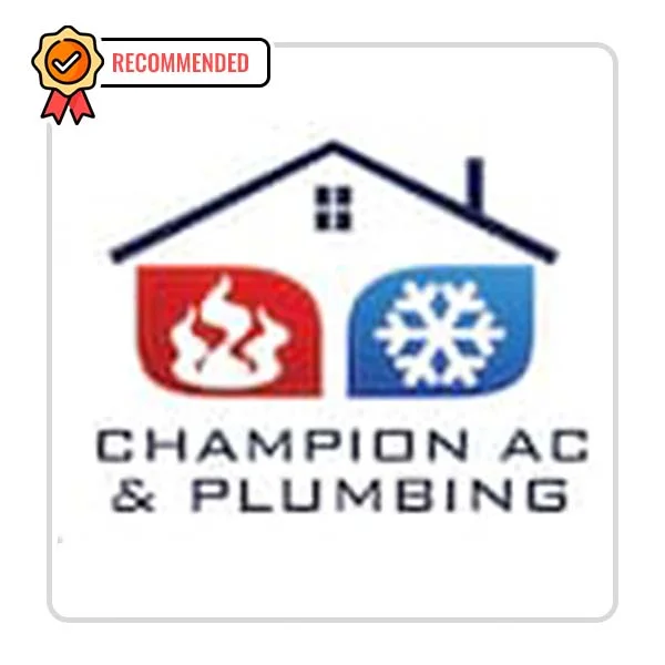 Champion AC of Austin, LLC: Sewer Line Repair and Excavation in Holmes