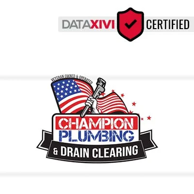 Champion Plumbing & Remodeling: Water Filter System Setup Solutions in Donald