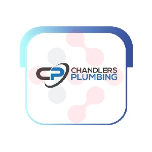 Chandlers Plumbing - DataXiVi