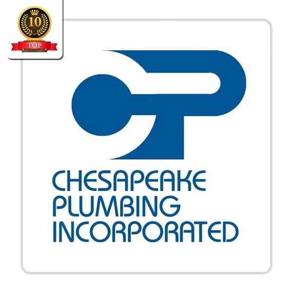 Chesapeake Plumbing Inc: Fireplace Maintenance and Inspection in Champlain