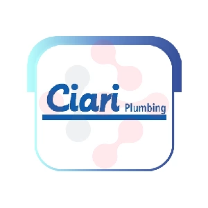 Ciari Plumbing: Water Filtration System Repair in Archbold