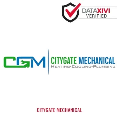 Citygate Mechanical: Reliable Kitchen/Bathroom Fixture Setup in Dow