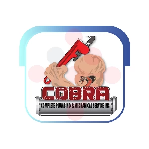 Cobra Complete Plumbing And Mechanical Service Inc.: Timely Washing Machine Problem Solving in Thornton