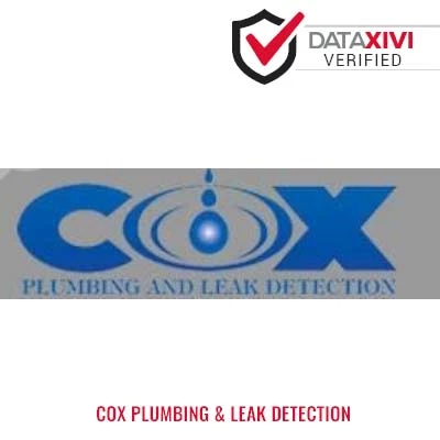 Cox Plumbing & Leak Detection: Home Cleaning Specialists in Cora