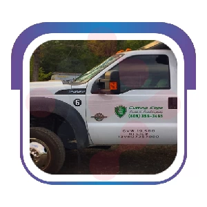 Cutting Edge Lawn And Landscaping LLC: Swift Toilet Fixing Services in Irondale