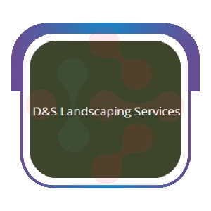 D&S Landscaping Services: Swift Swimming Pool Servicing in Blodgett