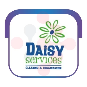 Daisy Cleaning - DataXiVi