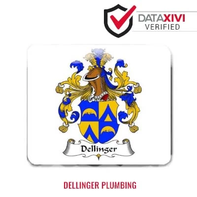 Dellinger Plumbing - DataXiVi