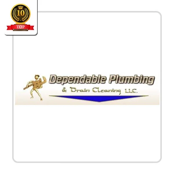 Dependable Plumbing & Drain Cleaning - DataXiVi