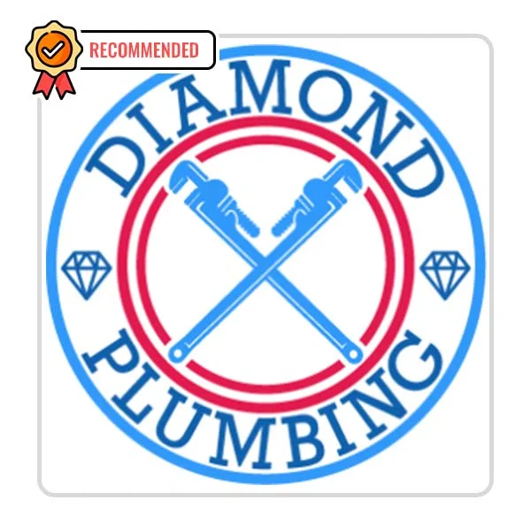 Diamond Plumbing: Sink Replacement in Mercer