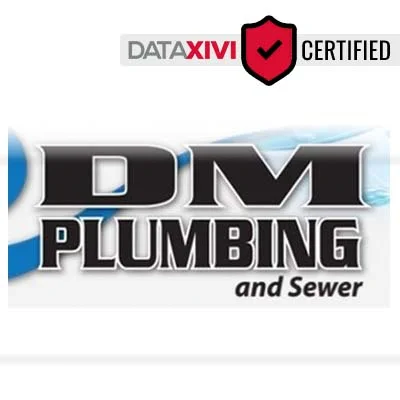 DM Plumbing & Sewer Plumber - DataXiVi