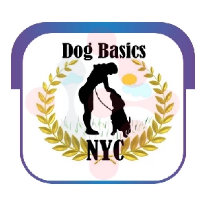 Dog Basics NYC: Swift Washing Machine Fixing Services in Winfield