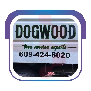 Dogwood Tree Service: Swift Gutter Clearing in Toddville