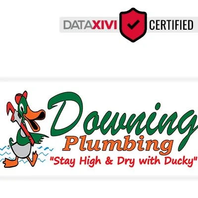 Downing Plumbing - DataXiVi