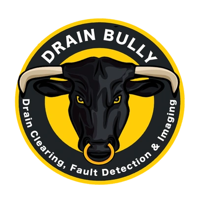 Drain Bully LLC: Pool Cleaning Services in Harvey