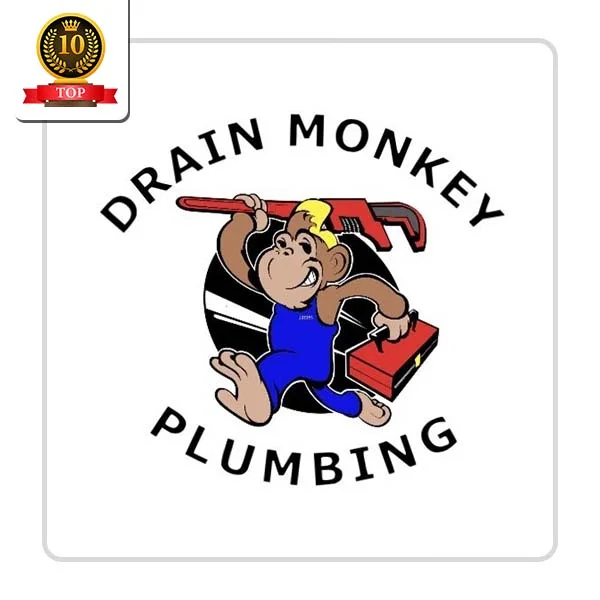 Drain Monkey Plumbing: Faucet Troubleshooting Services in Ossian