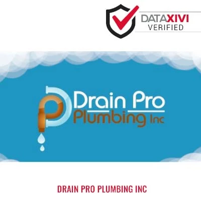 Drain Pro Plumbing Inc - DataXiVi