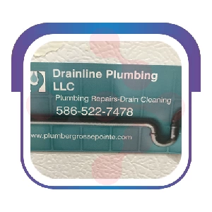 Drainline Plumbing: Reliable Drain Inspection Services in Norris City