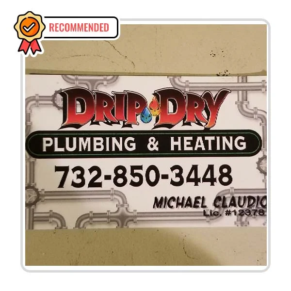 Drip Dry Plumbing and Heating - DataXiVi