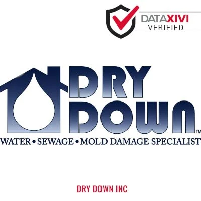 Dry Down Inc - DataXiVi