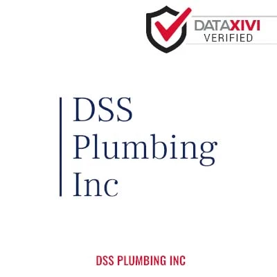 DSS Plumbing Inc Plumber - DataXiVi
