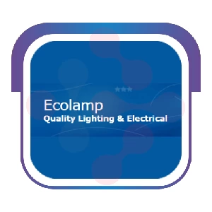 Ecolamp Inc: Efficient Toilet Troubleshooting in Sugartown